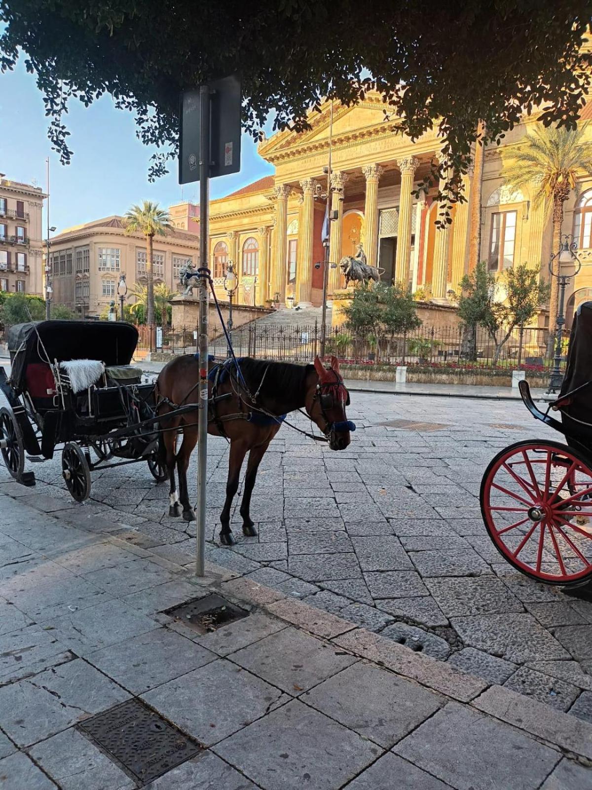 Casa Terramare Daire Palermo Dış mekan fotoğraf